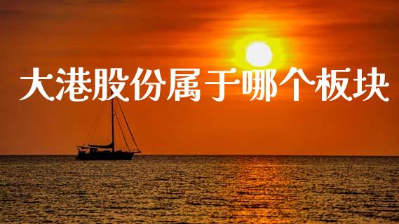 大港股份属于哪个板块_https://www.lansai.wang_股票问答_第1张