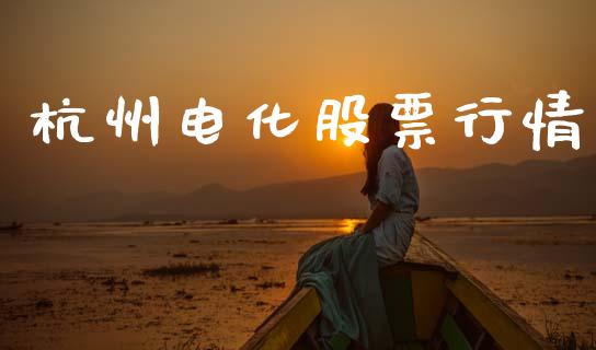 杭州电化股票行情_https://www.lansai.wang_股票知识_第1张