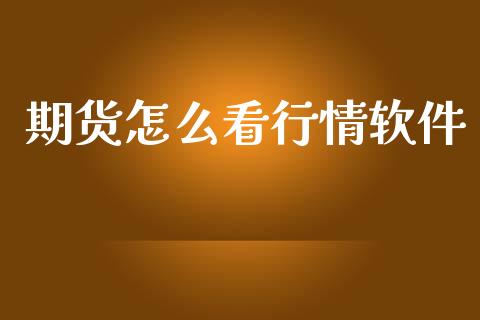 期货怎么看行情软件_https://www.lansai.wang_恒生指数_第1张