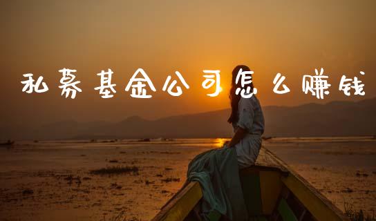 私募基金公司怎么赚钱_https://www.lansai.wang_理财百科_第1张