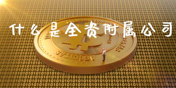 什么是全资附属公司_https://www.lansai.wang_股票知识_第1张