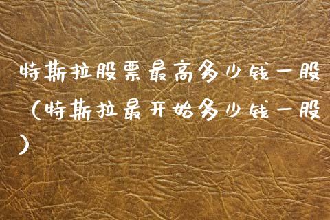 特斯拉股票最高多少钱一股（特斯拉最开始多少钱一股）_https://www.lansai.wang_股票问答_第1张