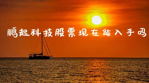 鹏起科技股票现在能入手吗_https://www.lansai.wang_期货行情_第1张