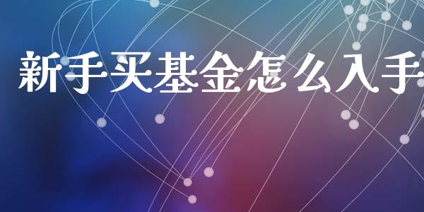 新手买基金怎么入手_https://www.lansai.wang_基金理财_第1张