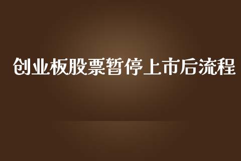 创业板股票暂停上市后流程_https://www.lansai.wang_期货资讯_第1张