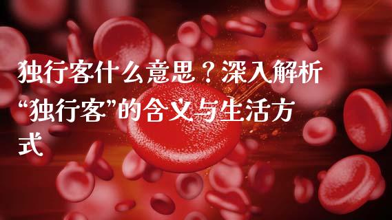 独行客什么意思？深入解析“独行客”的含义与生活方式_https://www.lansai.wang_期货品种_第1张