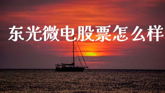 东光微电股票怎么样_https://www.lansai.wang_股票知识_第1张