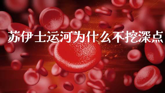 苏伊士运河为什么不挖深点_https://www.lansai.wang_期货行情_第1张