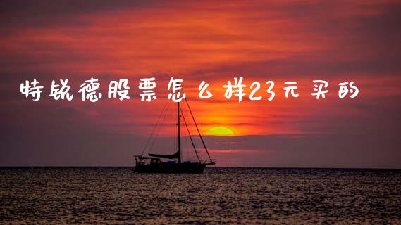 特锐德股票怎么样23元买的_https://www.lansai.wang_基金理财_第1张