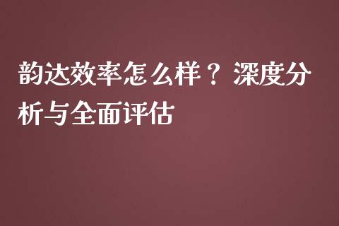 韵达效率怎么样？ 深度分析与全面评估_https://www.lansai.wang_期货学院_第1张