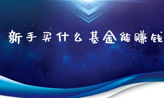 新手买什么基金能赚钱_https://www.lansai.wang_基金理财_第1张