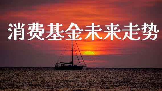 消费基金未来走势_https://www.lansai.wang_基金理财_第1张