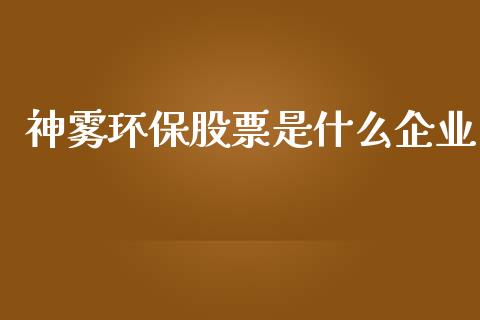 神雾环保股票是什么企业_https://www.lansai.wang_基金理财_第1张