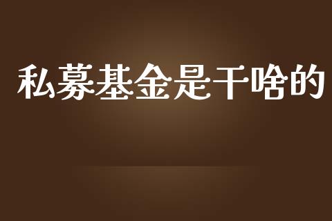 私募基金是干啥的_https://www.lansai.wang_基金理财_第1张