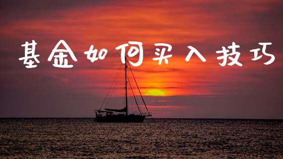 基金如何买入技巧_https://www.lansai.wang_未分类_第1张