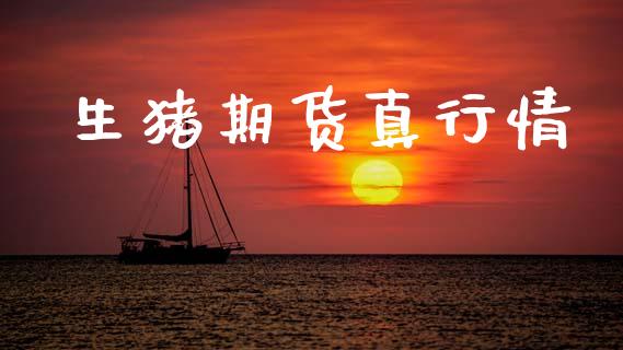生猪期货真行情_https://www.lansai.wang_期货资讯_第1张