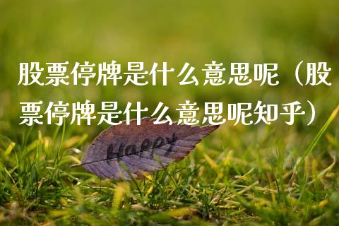 股票停牌是什么意思呢（股票停牌是什么意思呢知乎）_https://www.lansai.wang_股票知识_第1张