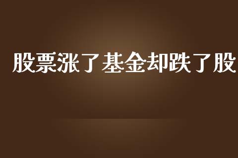 股票涨了基金却跌了股_https://www.lansai.wang_基金理财_第1张