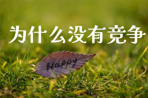 为什么没有竞争_https://www.lansai.wang_期货品种_第1张