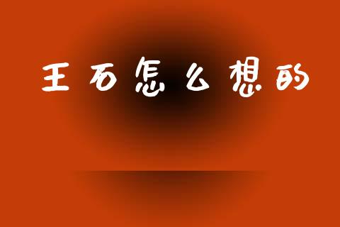 王石怎么想的_https://www.lansai.wang_期货行情_第1张