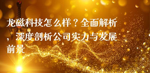 龙磁科技怎么样？全面解析，深度剖析公司实力与发展前景_https://www.lansai.wang_期货学院_第1张