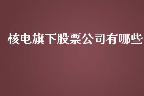 核电旗下股票公司有哪些_https://www.lansai.wang_股票问答_第1张
