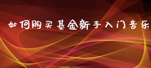 如何购买基金新手入门音乐_https://www.lansai.wang_基金理财_第1张