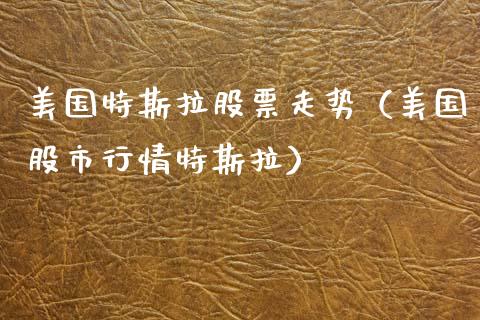 美国特斯拉股票走势（美国股市行情特斯拉）_https://www.lansai.wang_股票问答_第1张