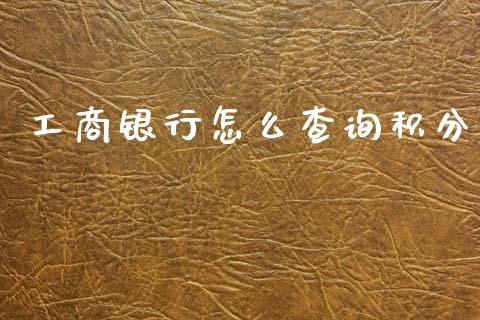 工商银行怎么查询积分_https://www.lansai.wang_理财百科_第1张