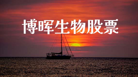 博晖生物股票_https://www.lansai.wang_基金理财_第1张