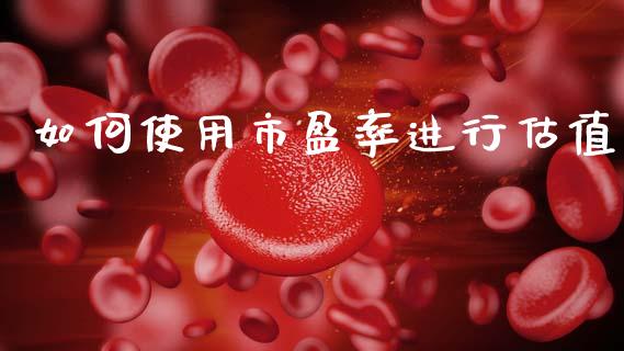如何使用市盈率进行估值_https://www.lansai.wang_股票问答_第1张