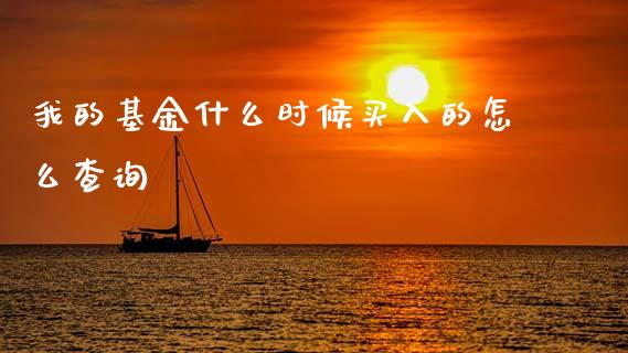 我的基金什么时候买入的怎么查询_https://www.lansai.wang_基金理财_第1张