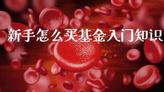 新手怎么买基金入门知识_https://www.lansai.wang_理财百科_第1张