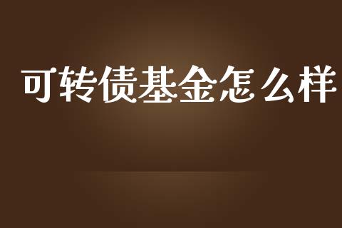 可转债基金怎么样_https://www.lansai.wang_股票问答_第1张