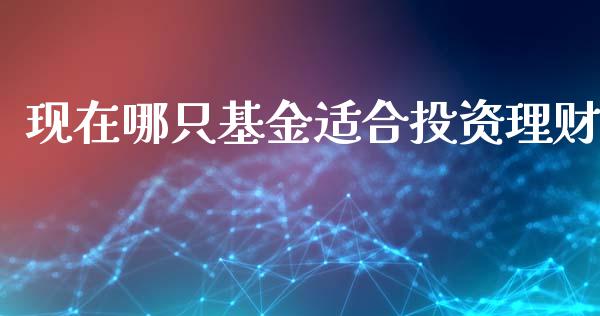 现在哪只基金适合投资理财_https://www.lansai.wang_基金理财_第1张
