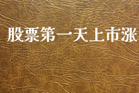 股票第一天上市涨_https://www.lansai.wang_期货行情_第1张