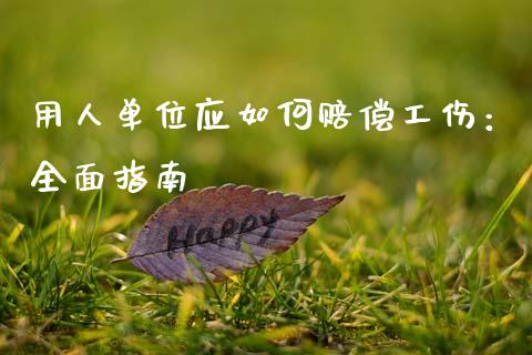用人单位应如何赔偿工伤：全面指南_https://www.lansai.wang_基金理财_第1张