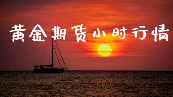 黄金期货小时行情_https://www.lansai.wang_股指期货_第1张