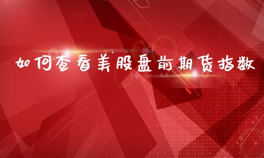 如何查看美股盘前期货指数_https://www.lansai.wang_股票问答_第1张