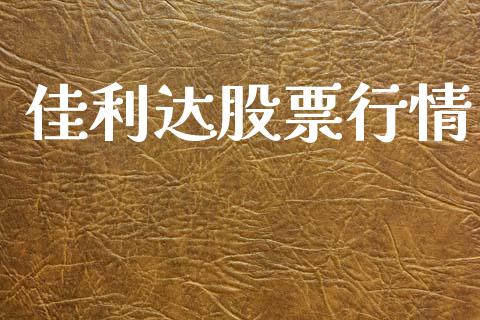 佳利达股票行情_https://www.lansai.wang_股票知识_第1张