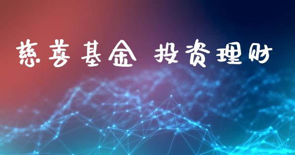 慈善基金 投资理财_https://www.lansai.wang_基金理财_第1张