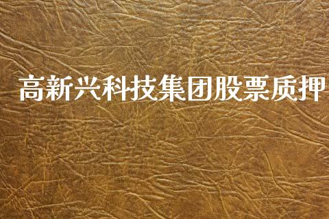 高新兴科技集团股票质押_https://www.lansai.wang_期货资讯_第1张