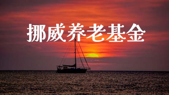 挪威养老基金_https://www.lansai.wang_基金理财_第1张