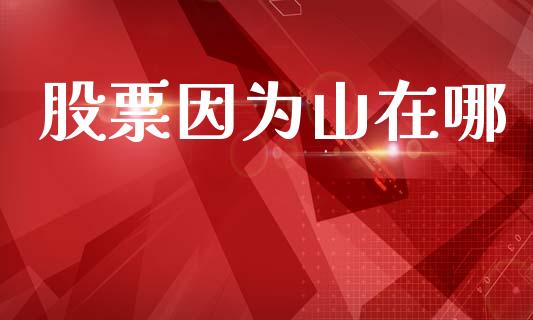 股票因为山在哪_https://www.lansai.wang_期货行情_第1张