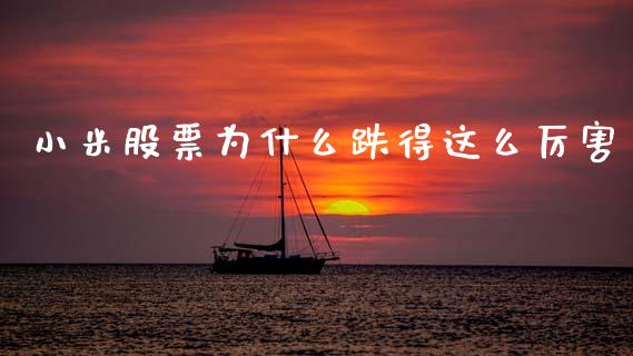 小米股票为什么跌得这么厉害_https://www.lansai.wang_股票知识_第1张