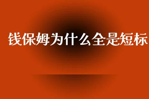 钱保姆为什么全是短标_https://www.lansai.wang_期货直播_第1张