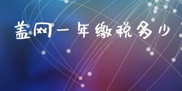 盖网一年缴税多少_https://www.lansai.wang_股票问答_第1张