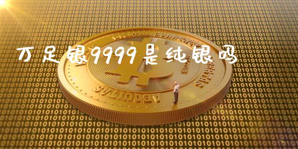 万足银9999是纯银吗_https://www.lansai.wang_期货行情_第1张