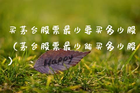 买茅台股票最少要买多少股（茅台股票最少能买多少股）_https://www.lansai.wang_股票问答_第1张
