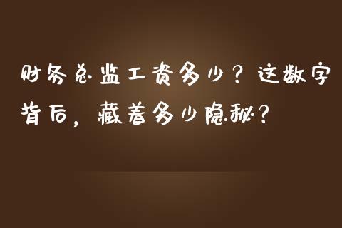 财务总监工资多少？这数字背后，藏着多少隐秘？_https://www.lansai.wang_期货资讯_第1张